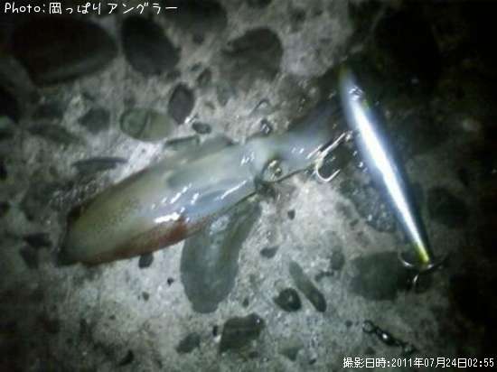 �ҥ������ʡ�