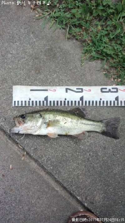 �֥�å��Х�