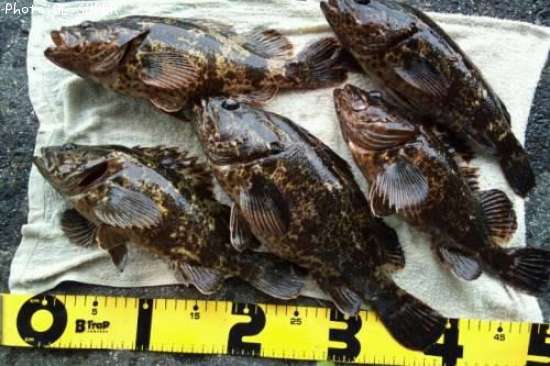 �����Υ���Х�