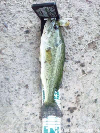 �֥�å��Х�