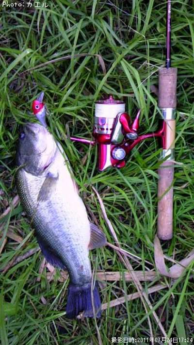 �֥�å��Х�