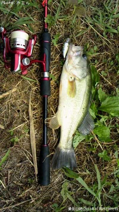 �֥�å��Х�