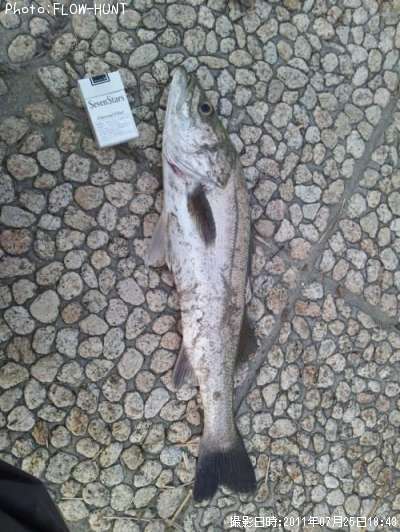 �����Х�