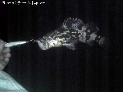 �����Υ���Х�