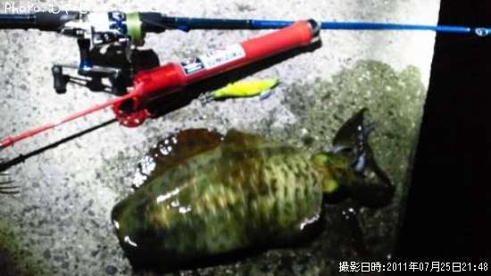 �����ꥤ��