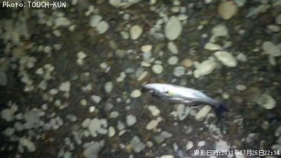 �����Х�