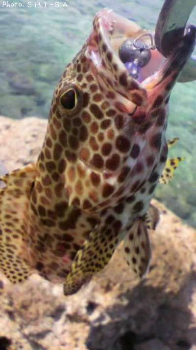 �����ߡ��Х�