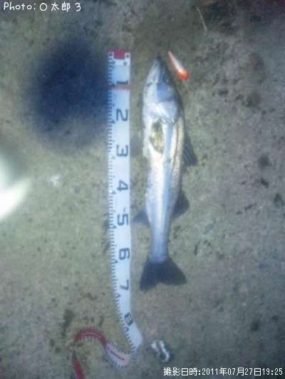 �����Х�