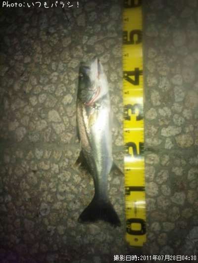 �����Х�