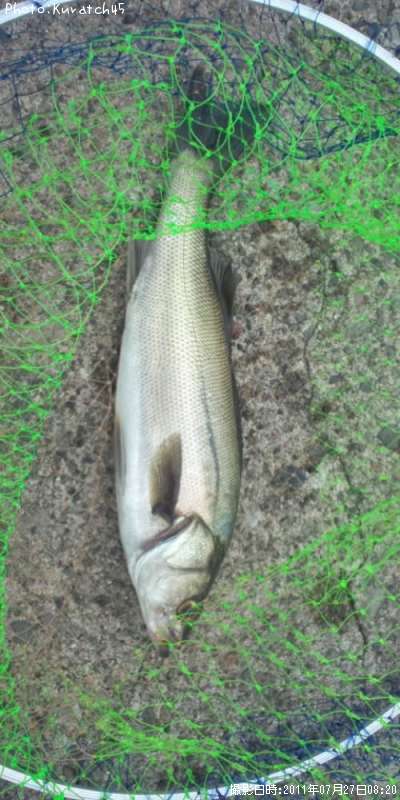 �����Х�