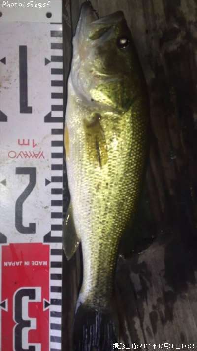 �֥�å��Х�