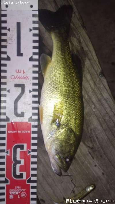 �֥�å��Х�