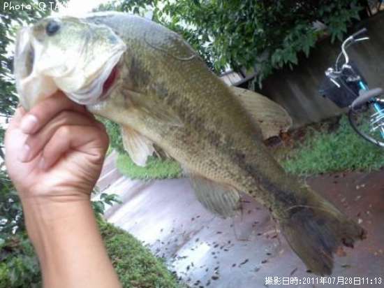 �֥�å��Х�