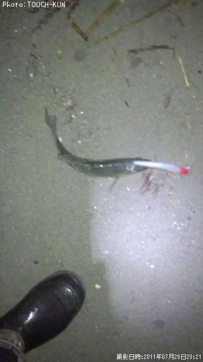 �����Х�