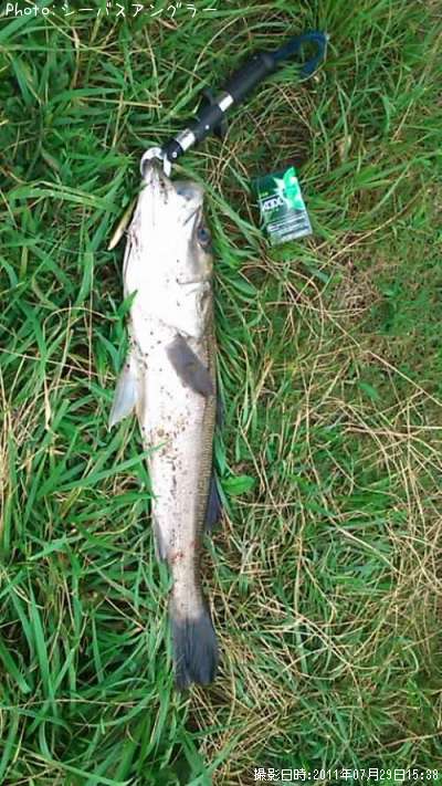 �����Х�