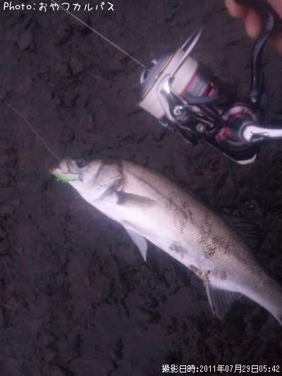 �����Х�