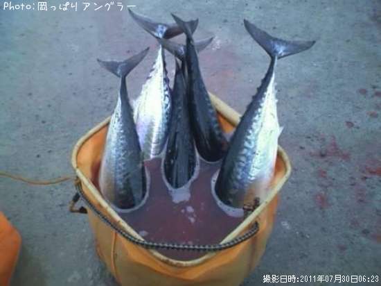 ���������ĥ�