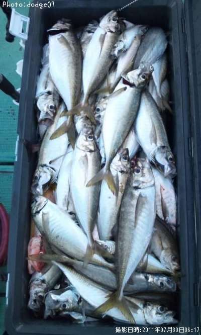 ������������������¾