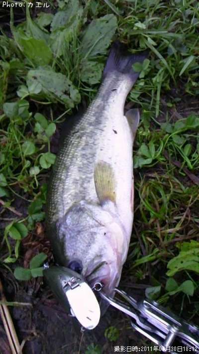 �֥�å��Х�