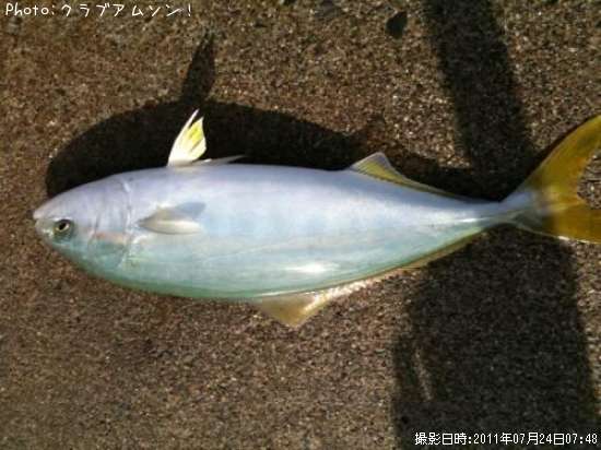 �����ä�