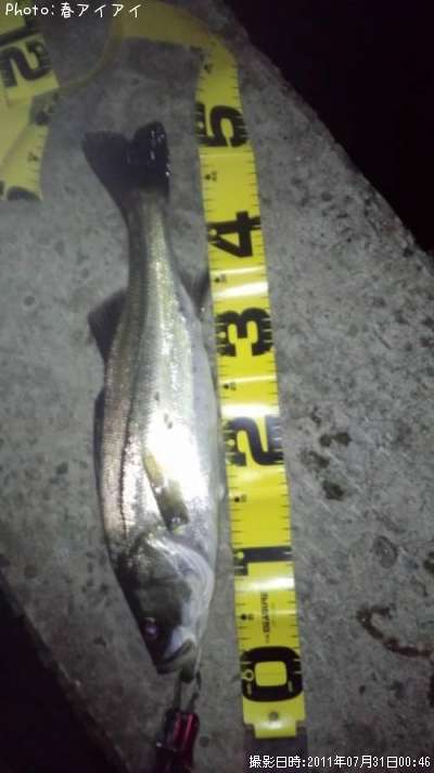 �����Х�