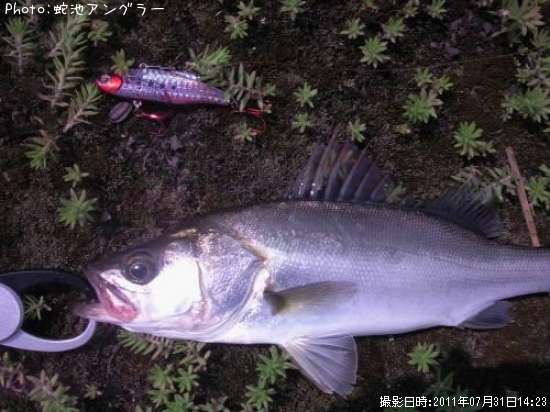 �����Х�