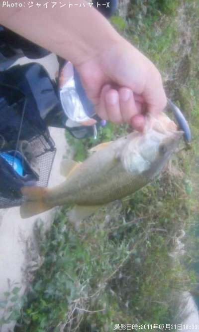 �֥�å��Х�