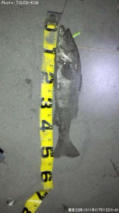 �����Х�