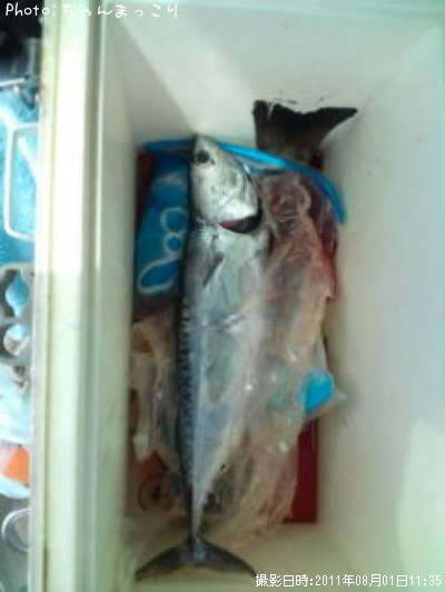 ���������ĥ�