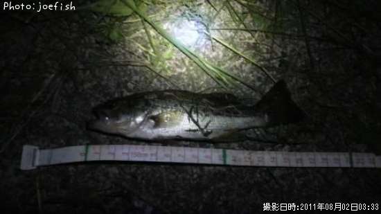 �֥�å��Х�