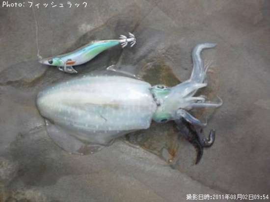 �����ꥤ��