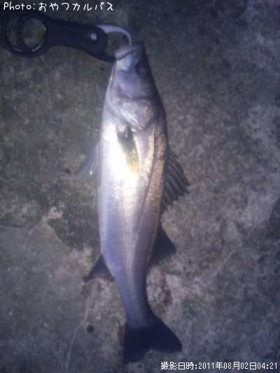 �����Х�