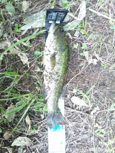 �֥�å��Х�