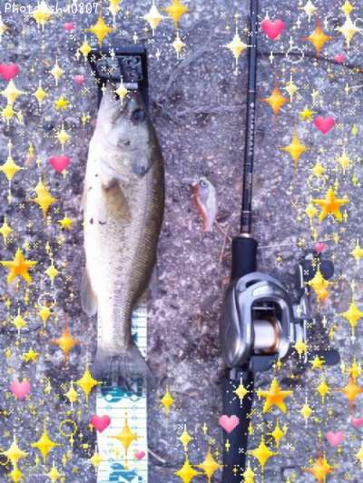 �֥�å��Х�