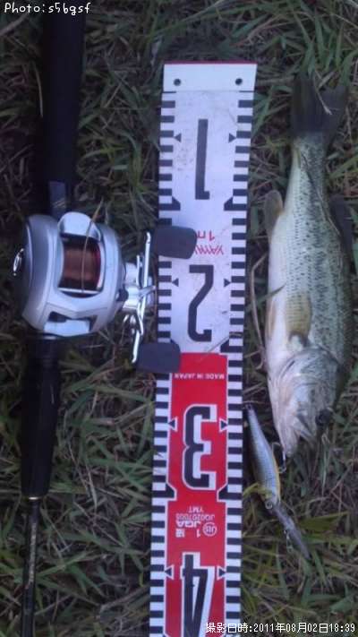 �֥�å��Х�