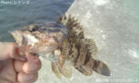 �����Υ���Х�