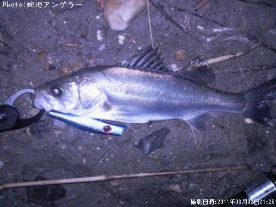 �����Х�