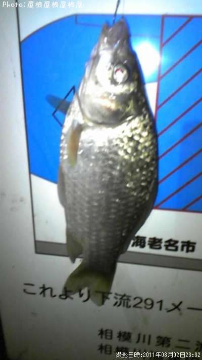 ʫ�Фä�����ޡ�