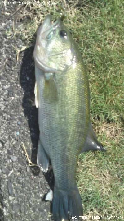 �֥�å��Х�