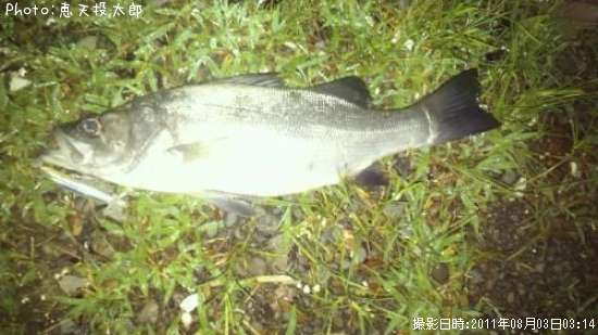 �ҥ饹����