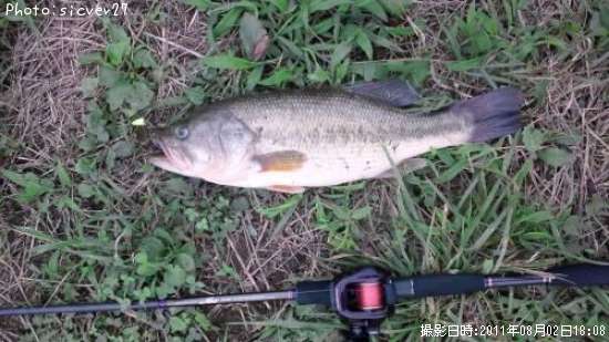 �֥�å��Х�