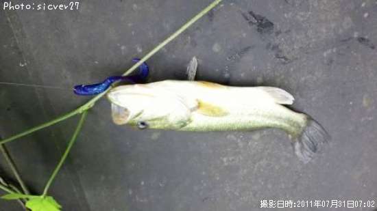 �֥�å��Х�