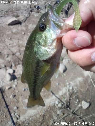 �֥�å��Х�