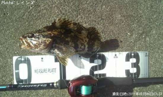 �����Υ���Х�