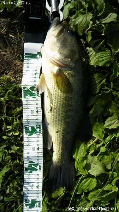 �֥�å��Х�