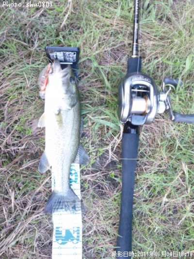 �֥�å��Х�