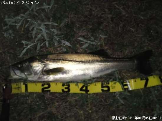 �����Х�