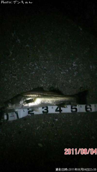 �����Х�