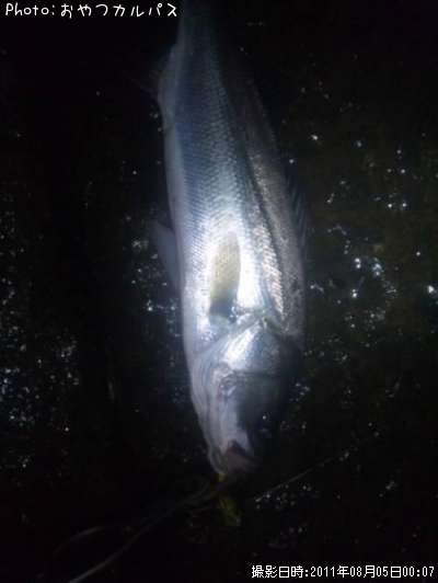 �����Х�