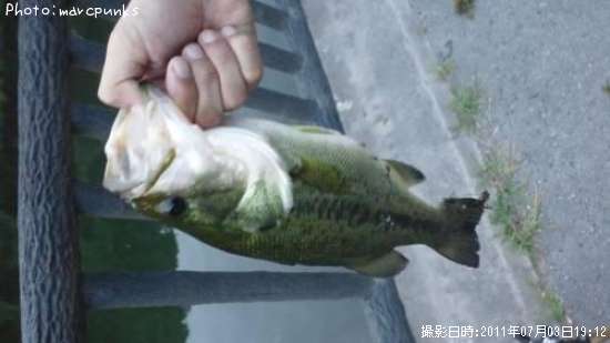 �֥�å��Х�